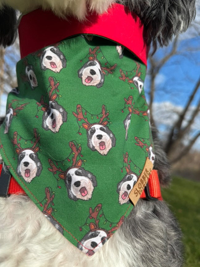 Dog wearing a green bandana with printed pattern, outdoors.